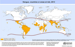 dengue risk 2013