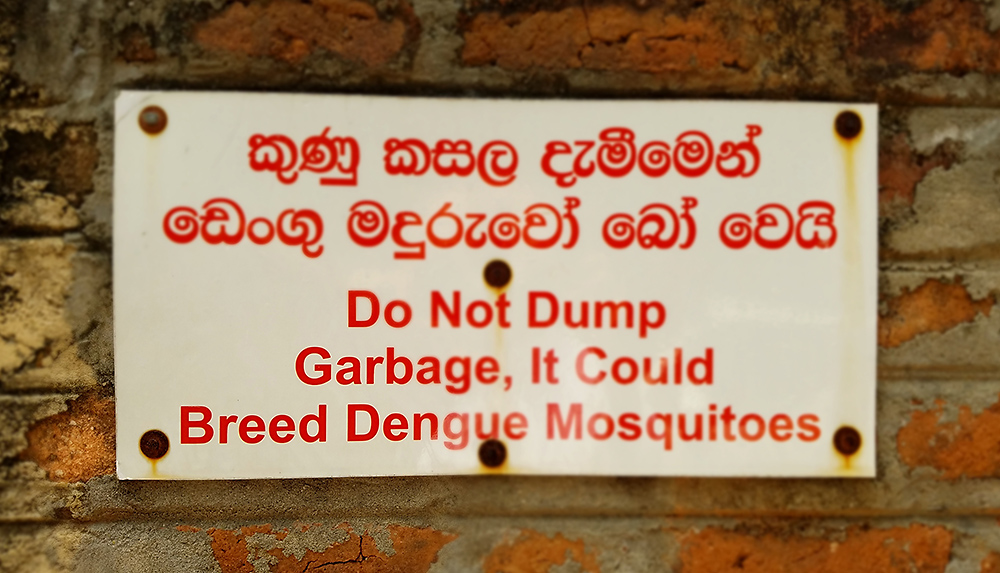 dengue warning