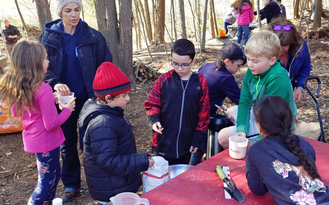 STEM (Science, Technology, Engineering & Math) in the Forest