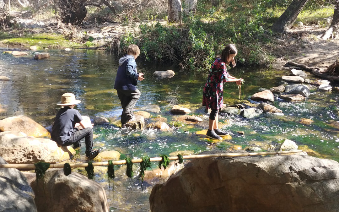 Saturday Forest Play (K-6)